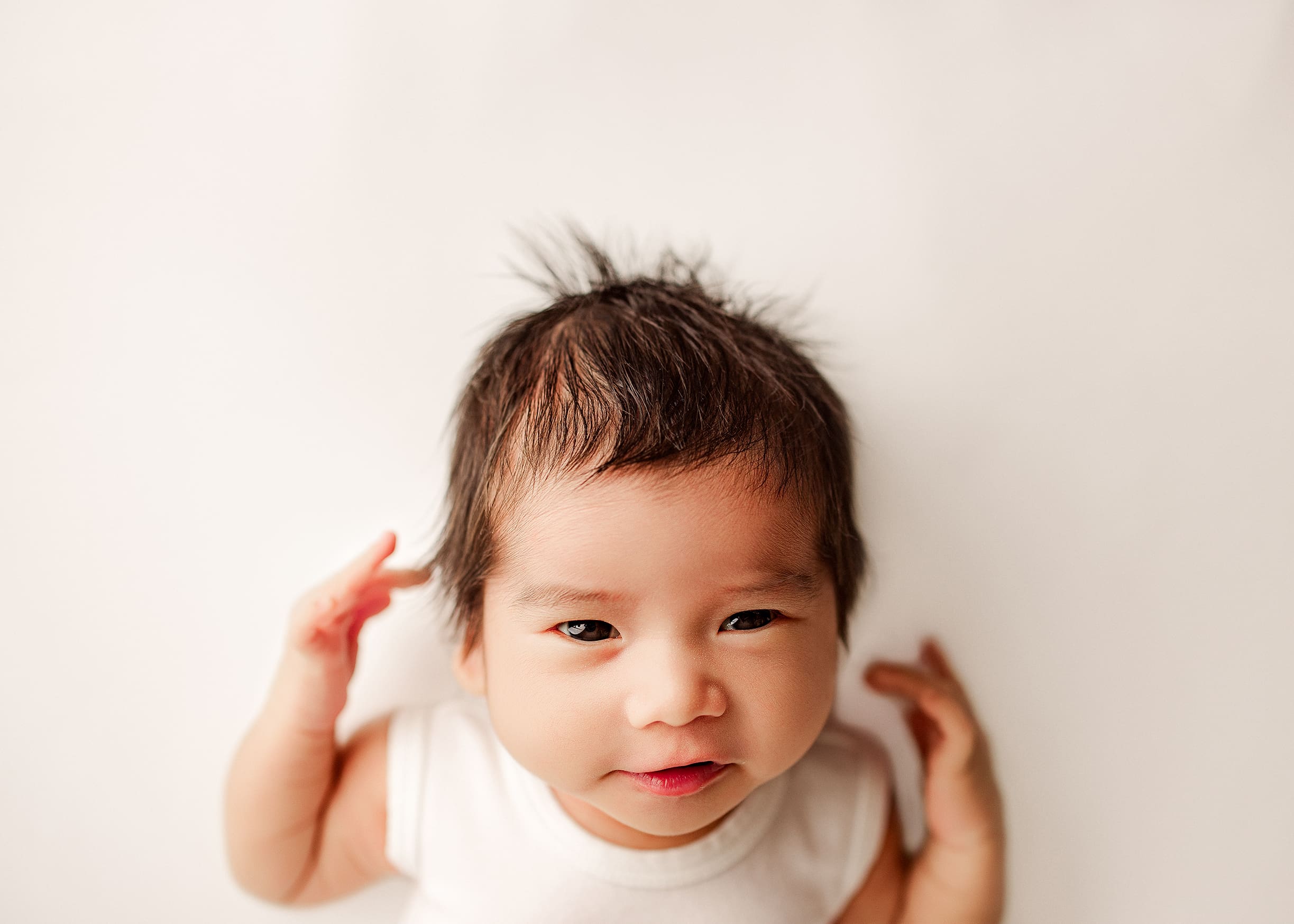 newborn photos in Clarksville tn