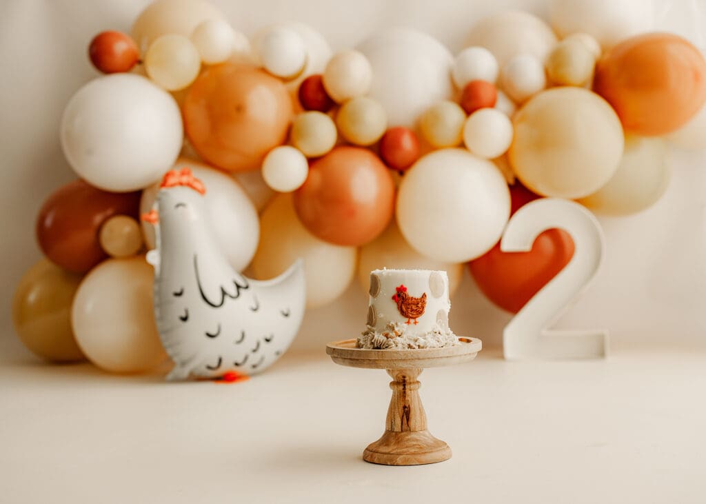 cake smash setup for a toddler with a chicken theme